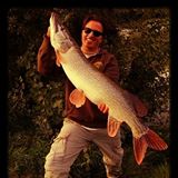 Texas Rig vs. Carolina Rig Zanderangeln und Barschangeln Texas Rig vs. Carolina Rig Zanderangeln und Barschangeln